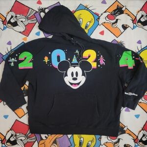 2024 Walt Disney World Hoodie.